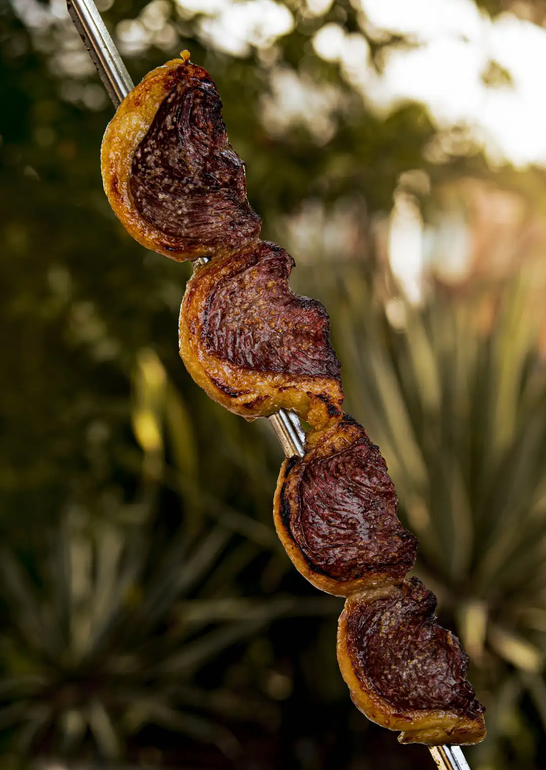 Brazilian picanha skewers cooking on a grill
