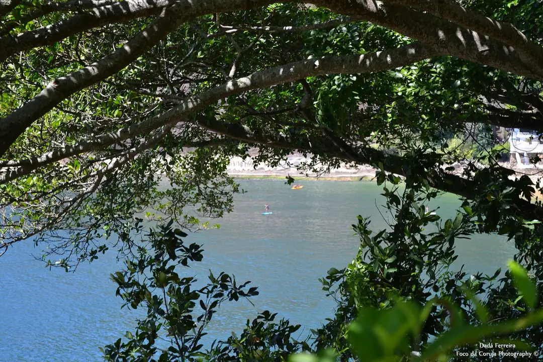 Sea view through trees along the Pista Cláudio Coutinho coastal path