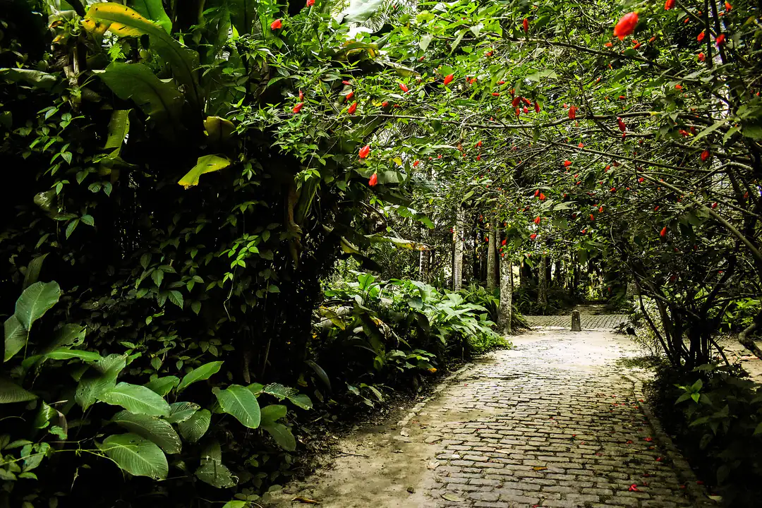 Cobbled garden path among the trees of Parque Lage
