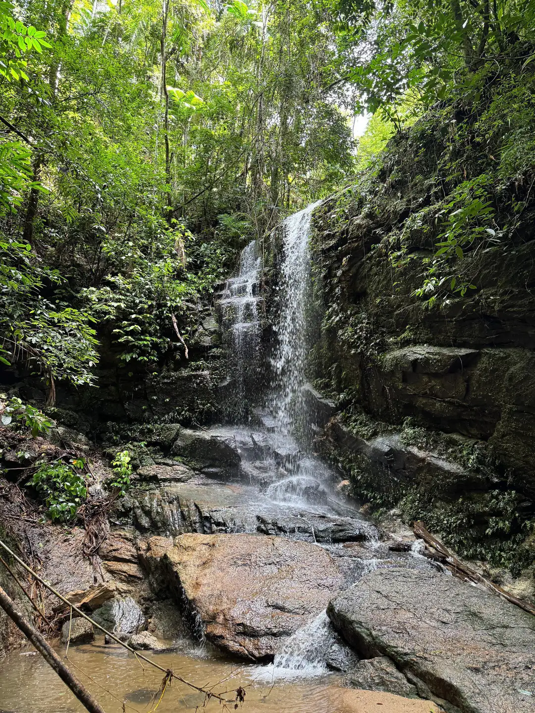 Waterfall surrounded by Atlantic rainforest in Tijuca National Park