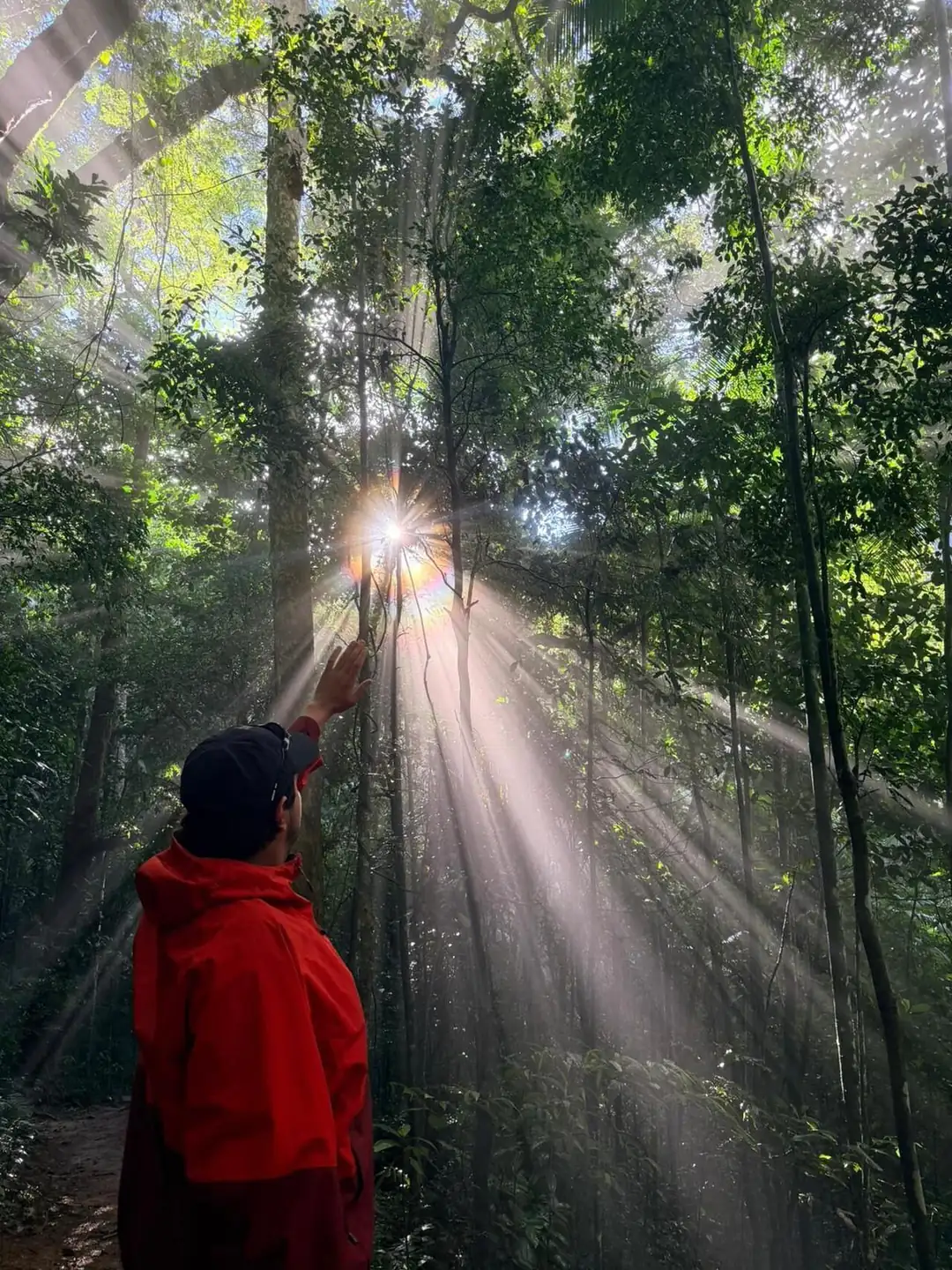 A guide points to sunbeams filtering through Tijuca rainforest