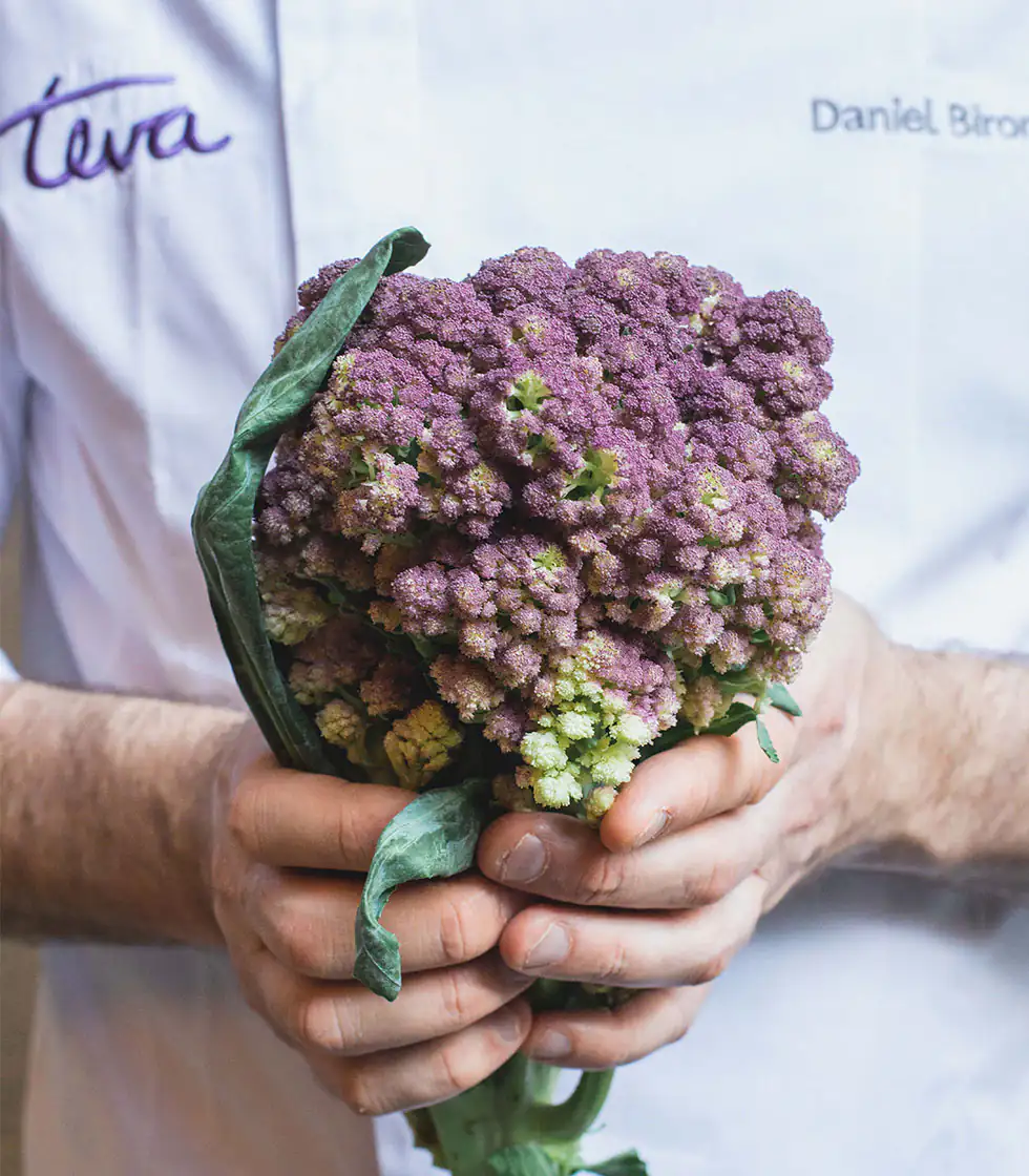 Fresh produce held by the chef at Teva in Ipanema