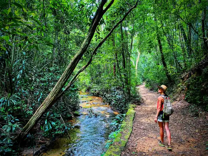 A forest trail beside a stream in Rio's Tijuca area